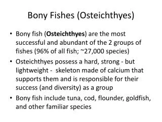 Bony Fishes (Osteichthyes)