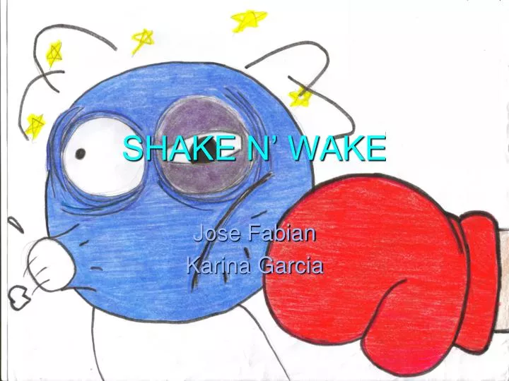 shake n wake