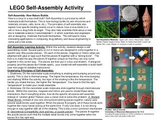 LEGO Self-Assembly Activity