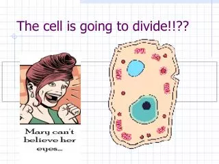 The cell is going to divide!!??
