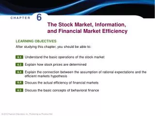 The Stock Market, Information, and Financial Market Efficiency