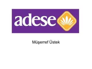 m erref stek