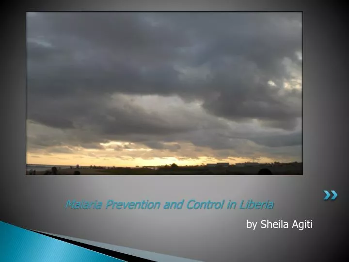 malaria prevention and control in liberia malaria prevention and control in liberia