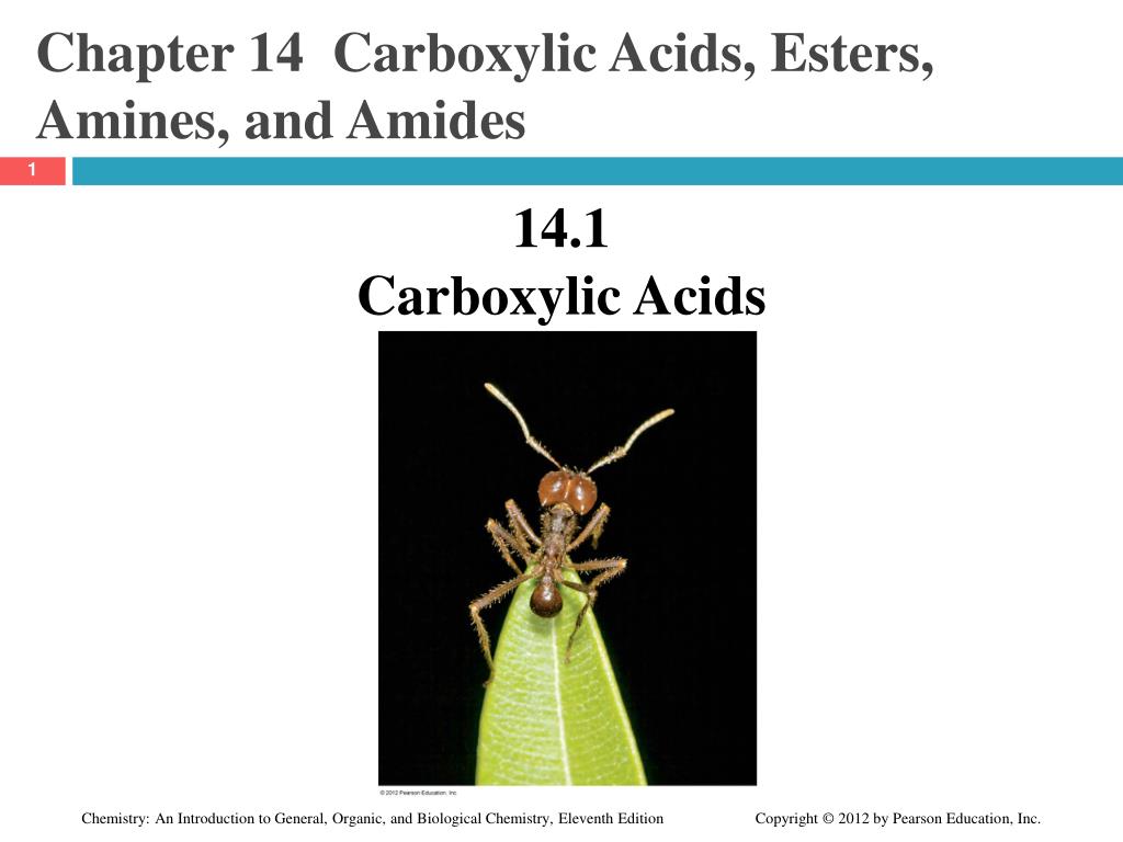 PPT - Chapter 14 Carboxylic Acids, Esters, Amines, and Amides ...