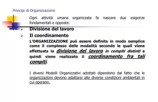 principi di organizzazione