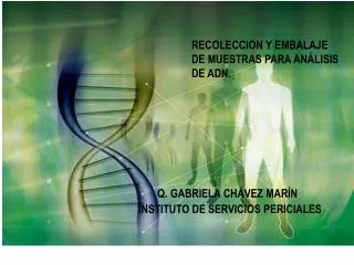 Q. GABRIELA CHÁVEZ MARÍN INSTITUTO DE SERVICIOS PERICIALES