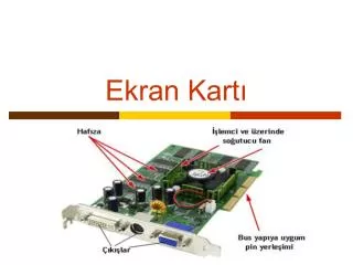 ekran kart