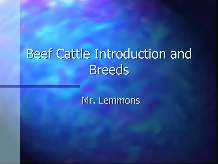 beef cattle introduction and breeds