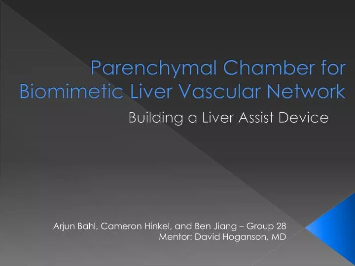 parenchymal chamber for biomimetic liver vascular network