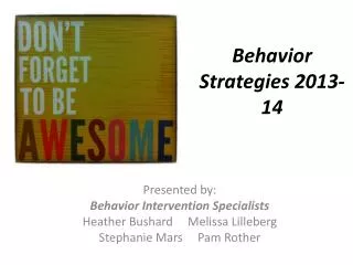 Behavior Strategies 2013-14