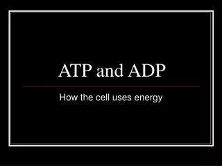 ATP and ADP