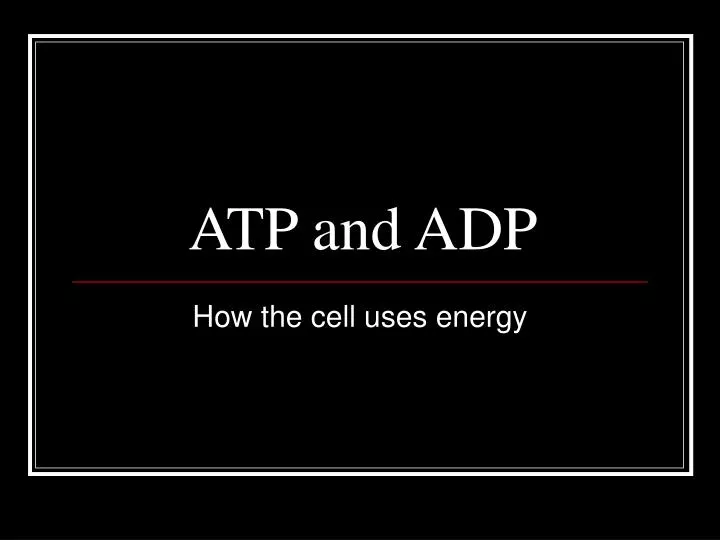 atp and adp