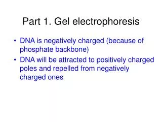 Part 1. Gel electrophoresis