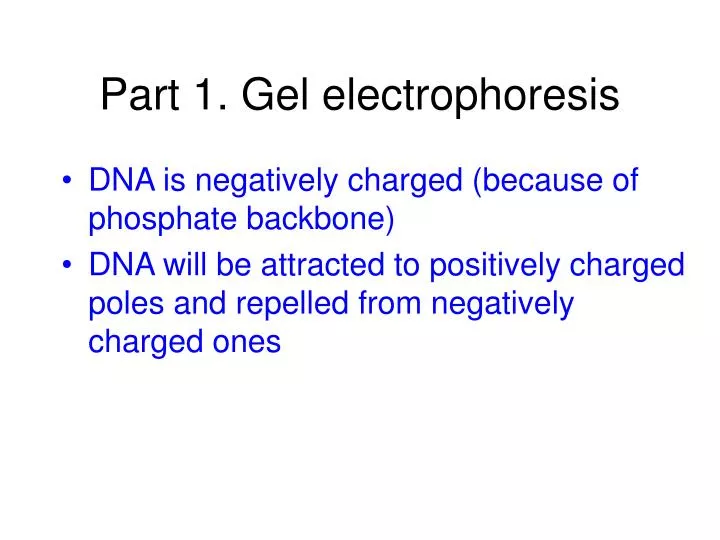 part 1 gel electrophoresis