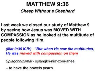 MATTHEW 9:36 Sheep Without a Shepherd