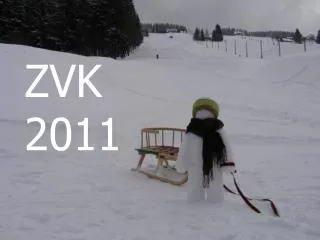 zvk 2011