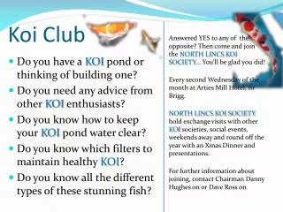 Koi Club