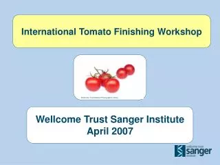 International Tomato Finishing Workshop