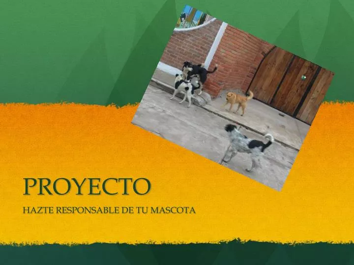 proyecto