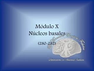 m dulo x n cleos basales