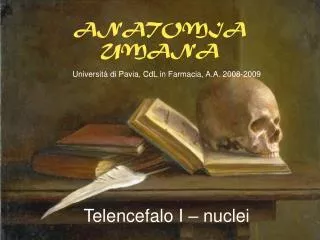 anatomia umana