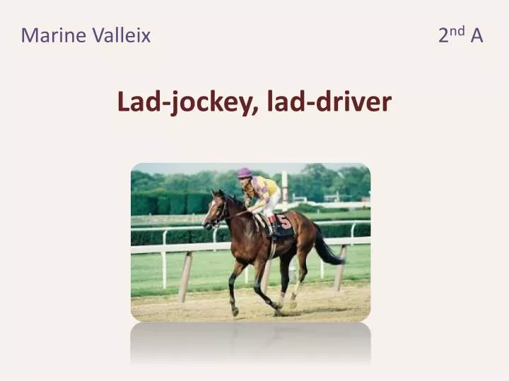 lad jockey lad driver