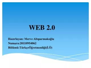 web 2 0