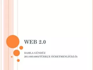 web 2 0