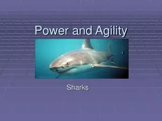 Power and Agility