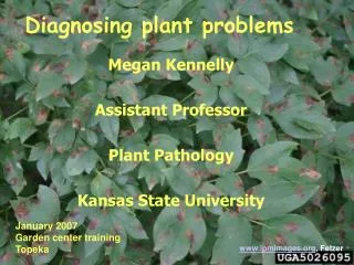 Diagnosing plant problems