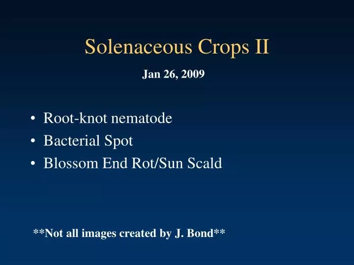 solenaceous crops ii