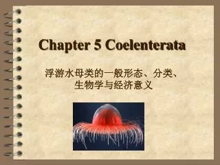 Chapter 5 Coelenterata