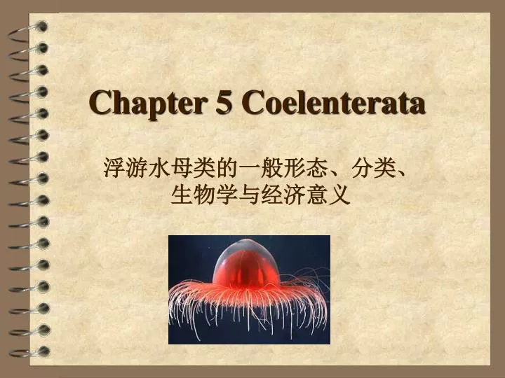 chapter 5 coelenterata