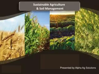 Sustainable Agriculture &amp; Soil Management