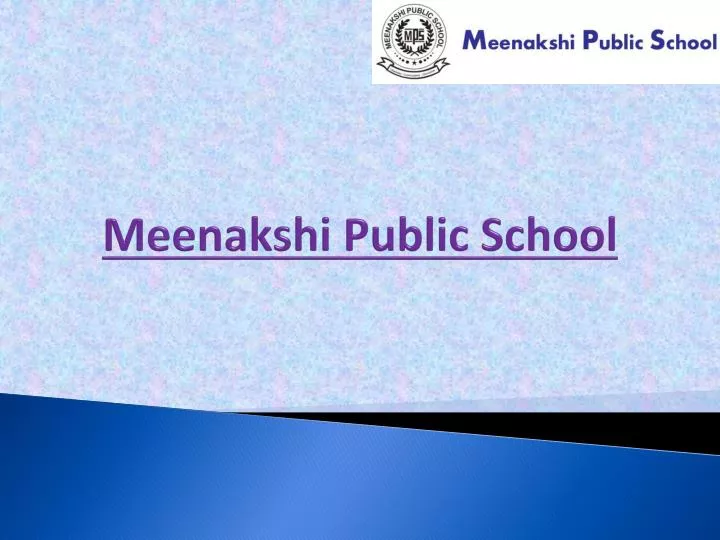 meenakshi public school
