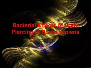 Bacterial Effects of Body Piercing in Homo sapiens