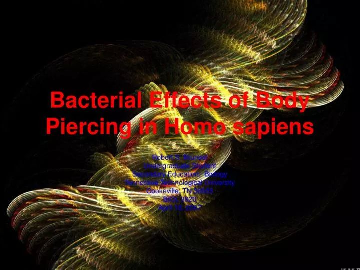 bacterial effects of body piercing in homo sapiens