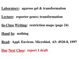 Laboratory : agarose gel &amp; transformation Lecture : reporter genes; transformation