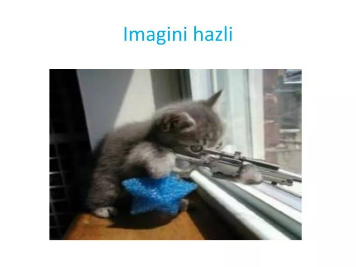 imagini hazli