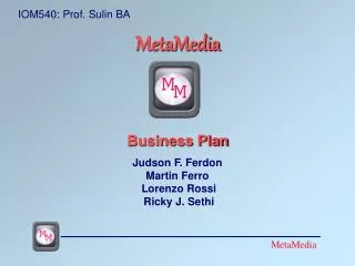 MetaMedia Business Plan