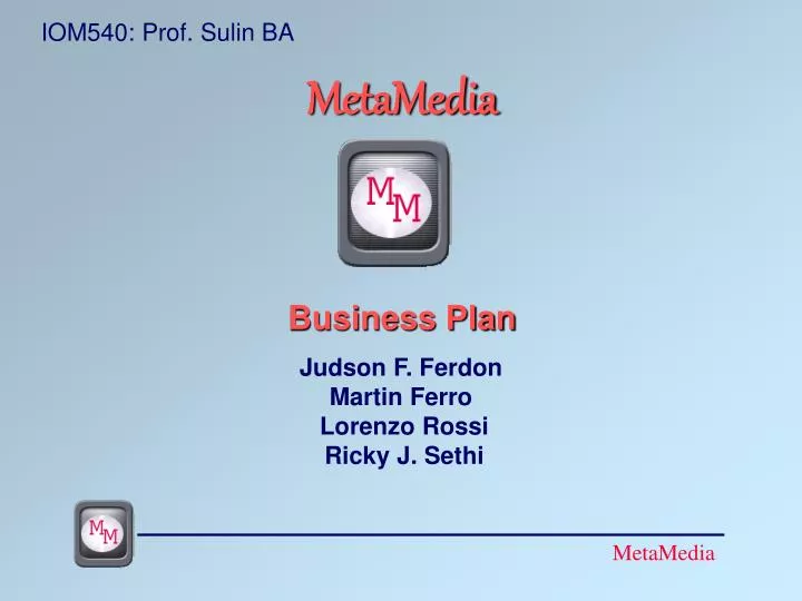 metamedia business plan