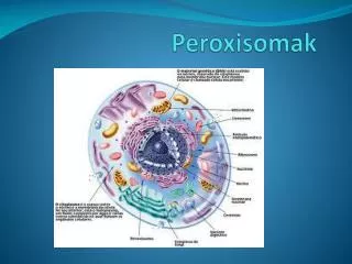 Peroxisomak