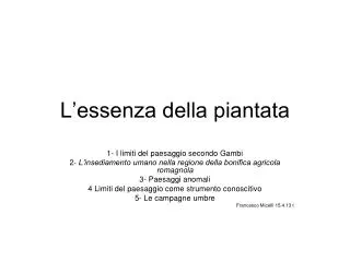 l essenza della piantata