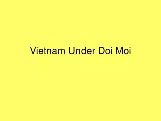 Vietnam Under Doi Moi