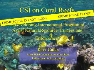 CSI on Coral Reefs