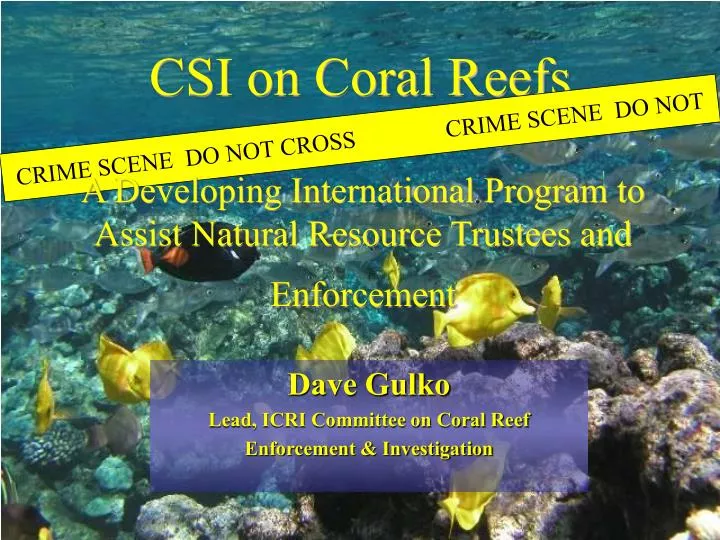 csi on coral reefs