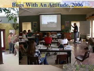 Bugs With An Attitude, 2006