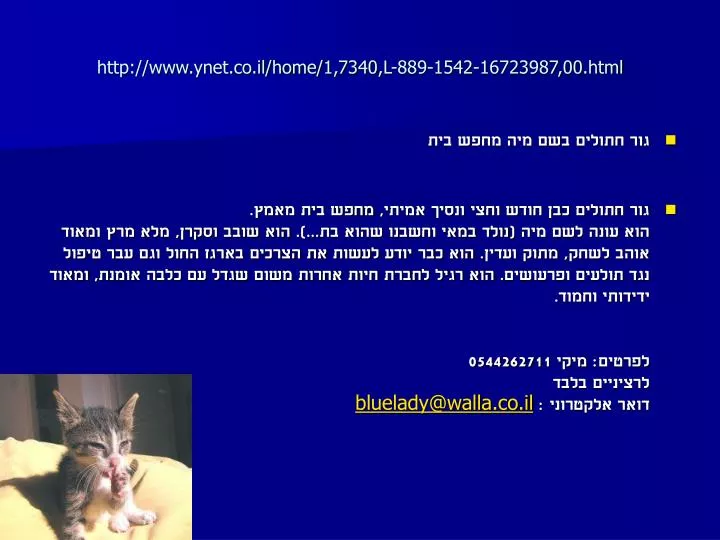 http www ynet co il home 1 7340 l 889 1542 16723987 00 html