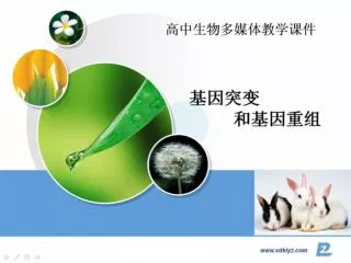 slide1