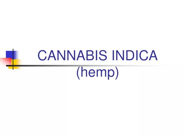 cannabis indica hemp